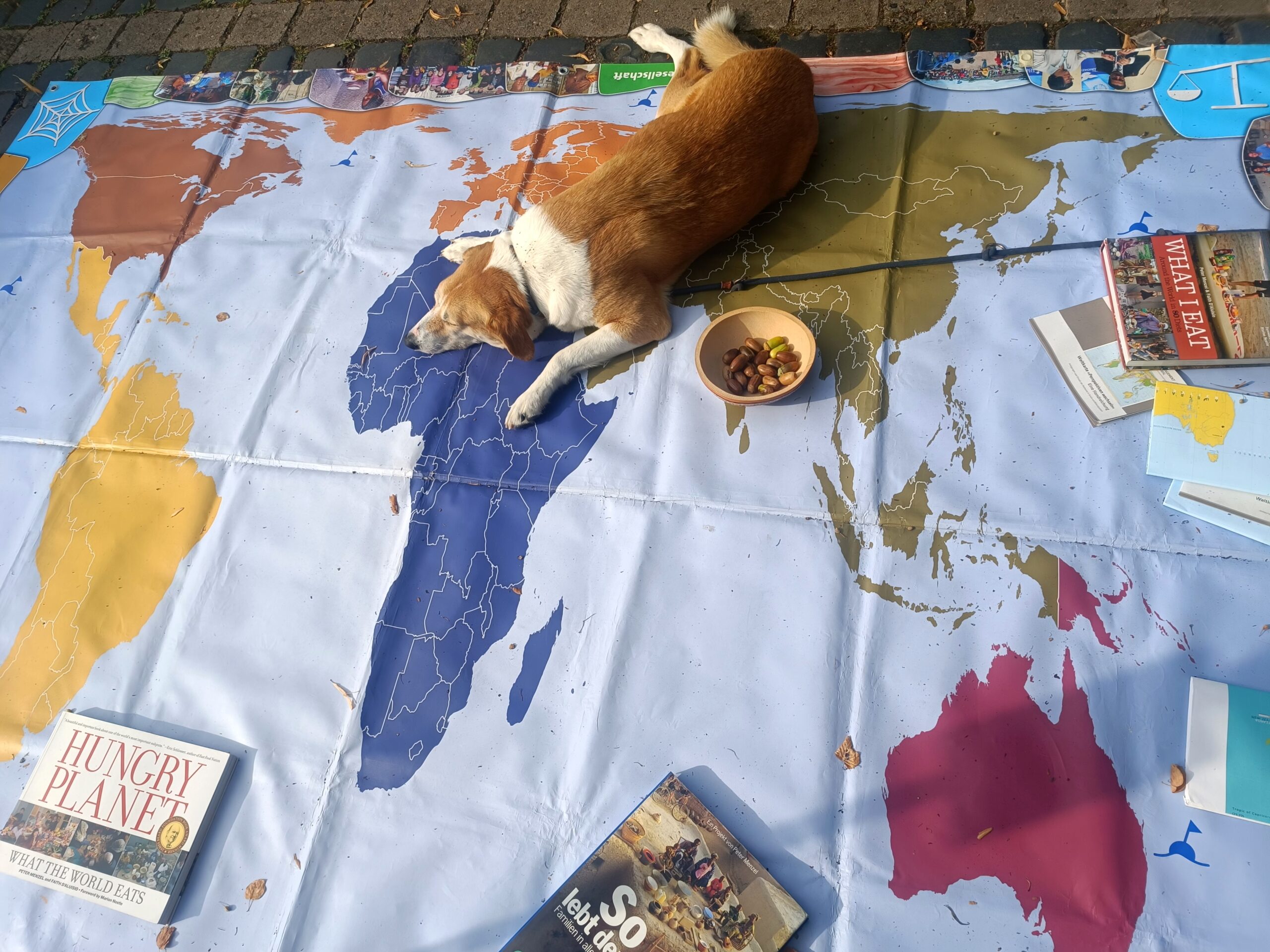 weltspielmit Hund-1 21.9.